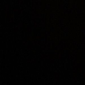 Meet your Posher, Ronnie